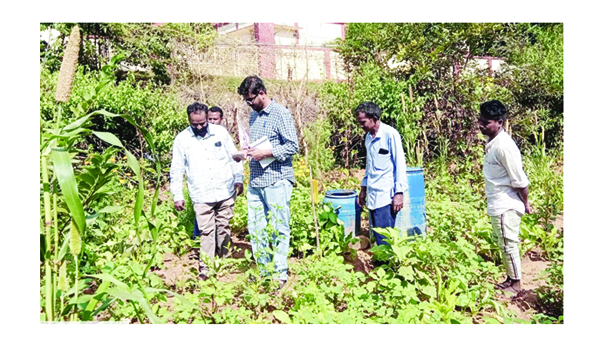 ఆదర్శంగా 'జీవా' రైతుల పంటల సాగు